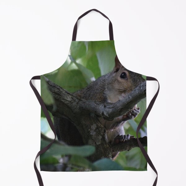 Item preview, Watchful Squirrel Eating Hickory Nuts designed and sold by gistinker.