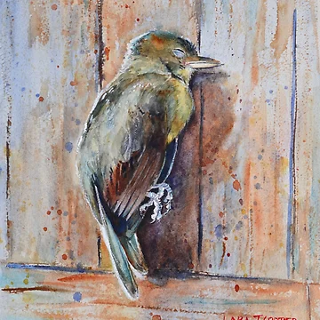 Artwork thumbnail, Fallen by Lara Cooper