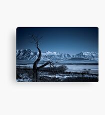 Winter Desolation Canvas Print