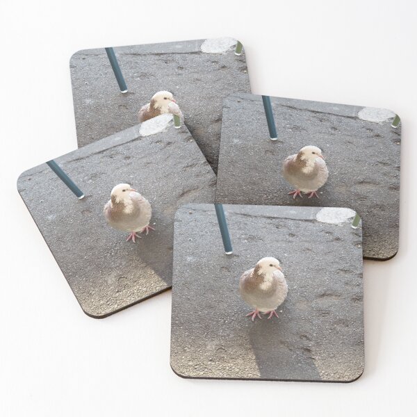 Item preview, A cute brown and white pigeon designed and sold by greentiger1.