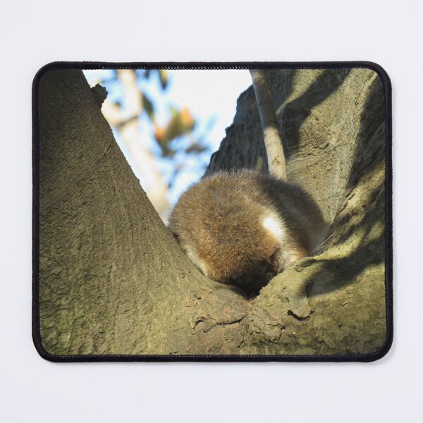 Item preview, A sleepy common ringtail possum designed and sold by greentiger1.