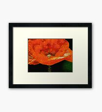 Creamy Crimson Framed Print
