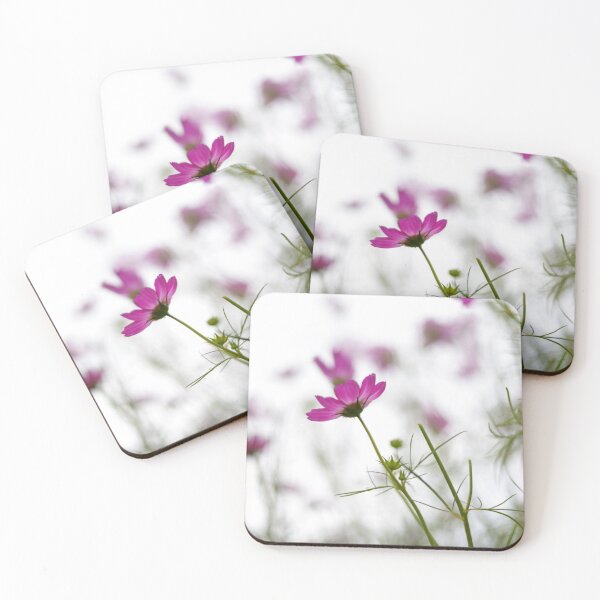Item preview, Cosmos flowers photographed in Australia designed and sold by JessicaKeegan.