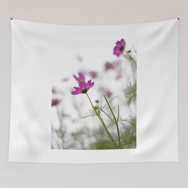 Item preview, Cosmos flowers photographed in Australia designed and sold by JessicaKeegan.