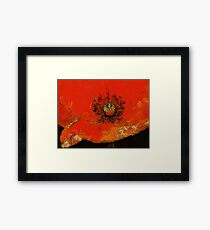 Blissful Bloom Framed Print