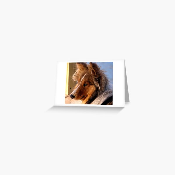 I Am Dreaming of Giant Milk Bones..... Greeting Card