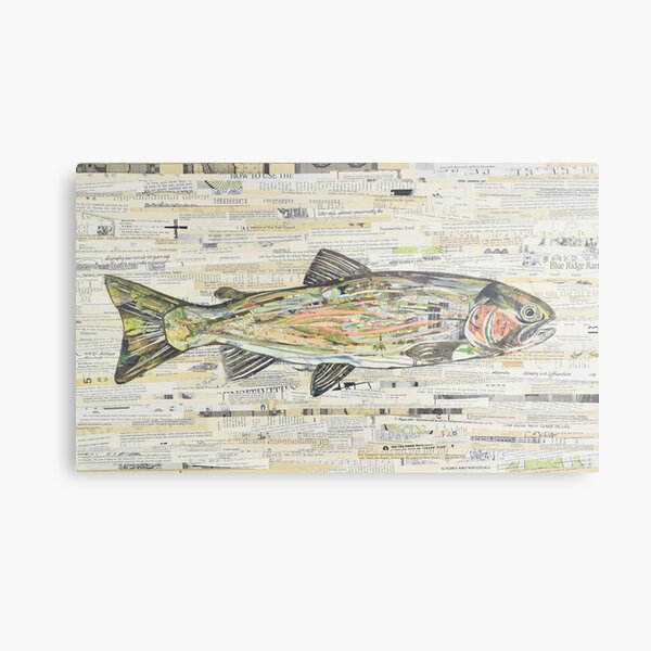 Rainbow Trout Collage by C.E. White Metal Print