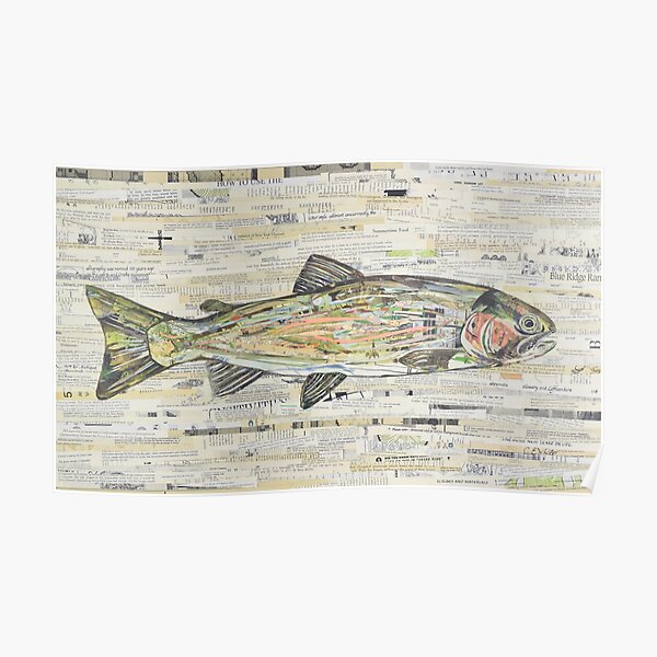 Rainbow Trout Collage by C.E. White Poster