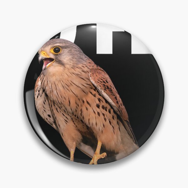 Item preview, Kestrel Falcon Bird Tshirt Birdwatching Gift So Fly  designed and sold by MarilynYounga.