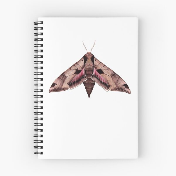 Item preview, Achemon Sphinx Moth (Eumorpha achemon) designed and sold by JadaFitch.