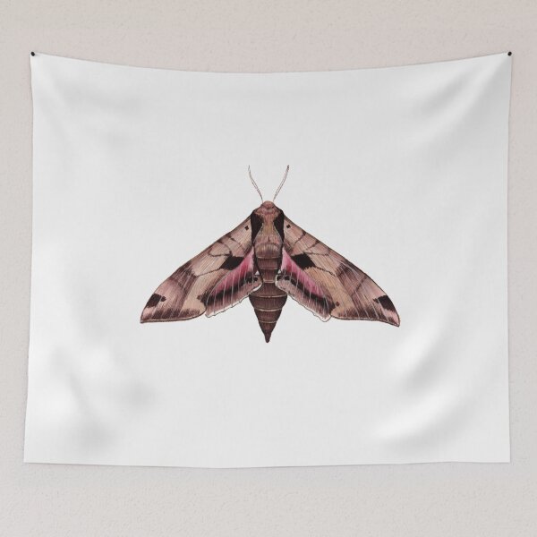 Item preview, Achemon Sphinx Moth (Eumorpha achemon) designed and sold by JadaFitch.