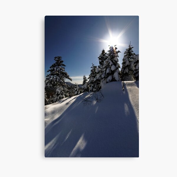 Shiga Sun Star Canvas Print