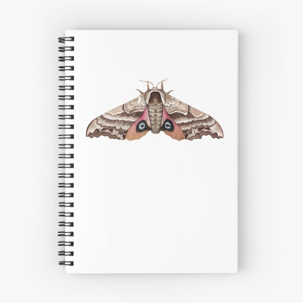 Item preview, One-eyed Sphinx Moth (Smerinthus cerisyi) designed and sold by JadaFitch.