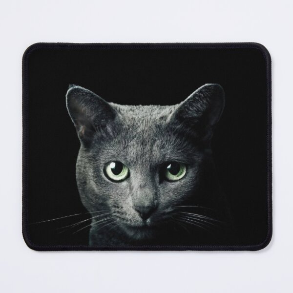 Item preview, cool cat - fierce designed and sold by Annelley.