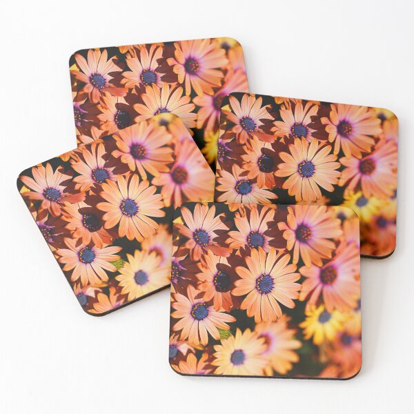 Item preview, African Daisies Golden In Display designed and sold by Joy Watson - Natural Light Photography .