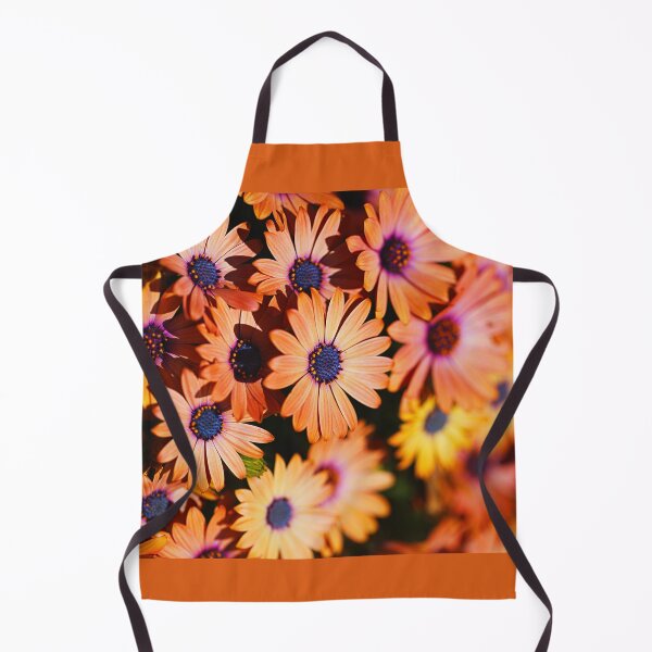 Item preview, African Daisies Golden In Display designed and sold by Joy Watson - Natural Light Photography .