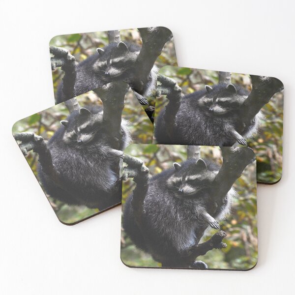 Item preview, Raccoon drying designed and sold by alanoix.