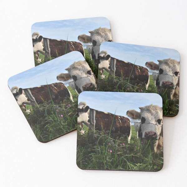 Item preview, Curious cows in duo designed and sold by alanoix.