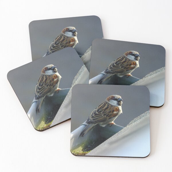 Item preview, The titmouse on the edge of the gutter designed and sold by alanoix.