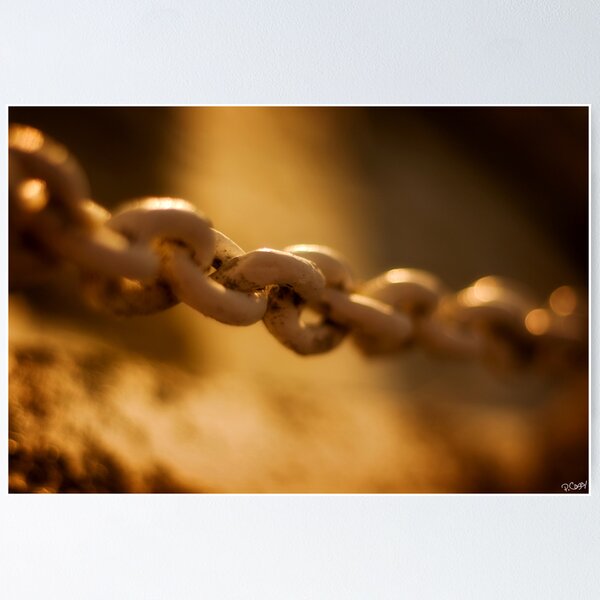 Item preview, chained to you: Cornelian Bay, Tasmania designed and sold by pmcphotography.