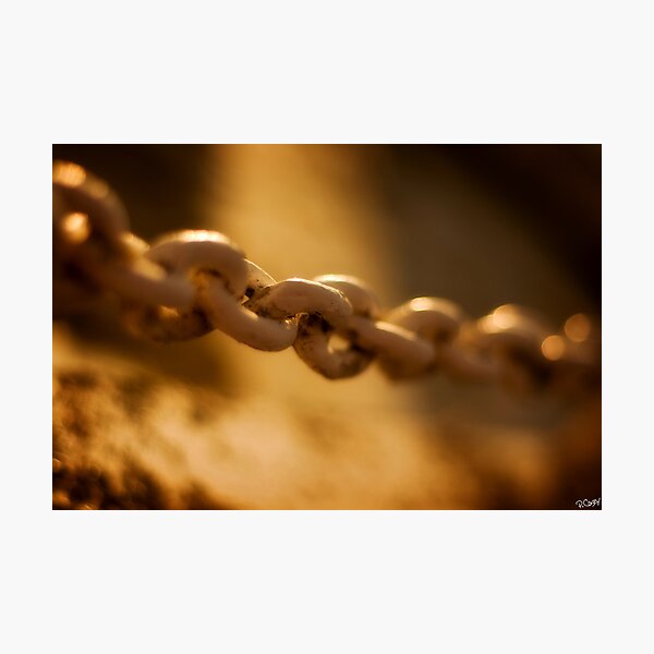 Item preview, chained to you: Cornelian Bay, Tasmania designed and sold by pmcphotography.