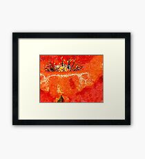 Old Fashioned Poppy Framed Print
