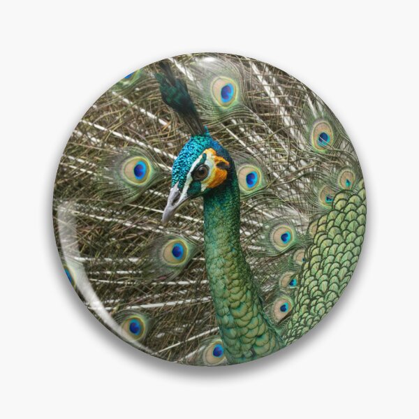 Item preview, Javan Green Peacock designed and sold by Jade Welch.
