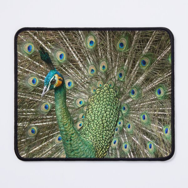 Item preview, Javan Green Peacock designed and sold by Jade Welch.