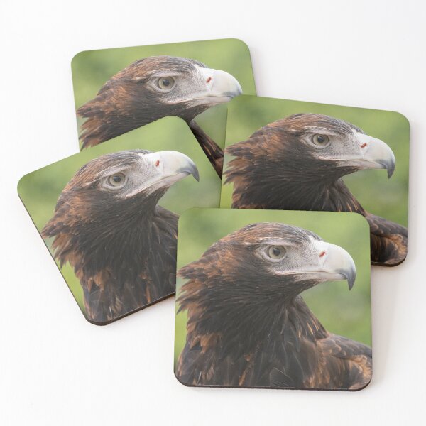 Item preview, Wedge-tailed Eagle designed and sold by Jade Welch.