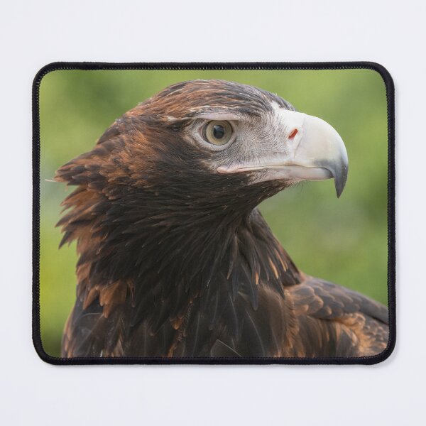 Item preview, Wedge-tailed Eagle designed and sold by Jade Welch.