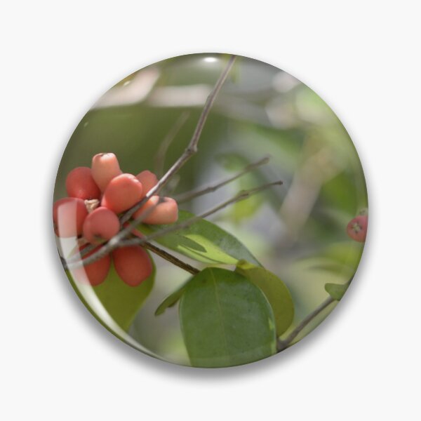Item preview, Red Berries photographed with Bokeh. designed and sold by JessicaKeegan.