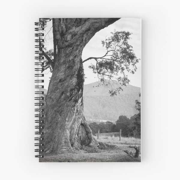 Item preview, Casa en el árbol para dejar designed and sold by pcbermagui.