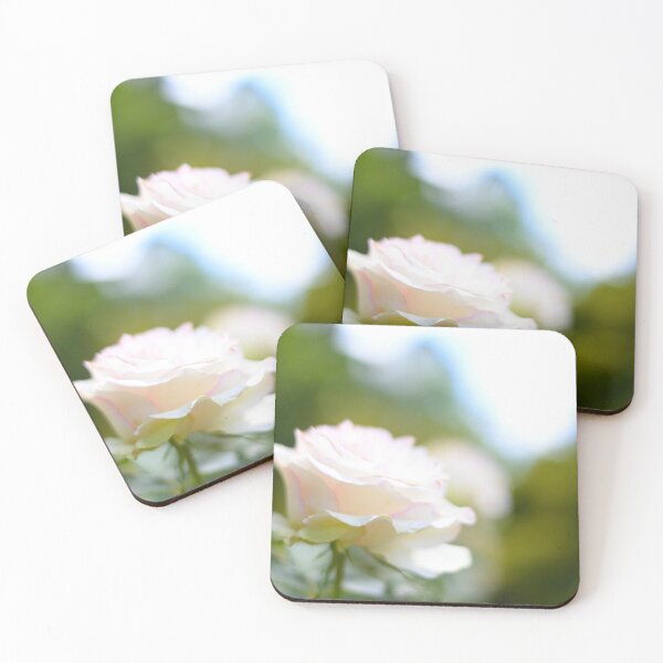 Item preview, A beautiful white rose photographed designed and sold by JessicaKeegan.