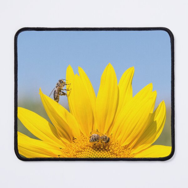Item preview, Two honey bees on a sunflower designed and sold by StohlerPhotos.
