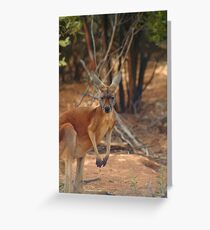 Blue Red Greeting Card