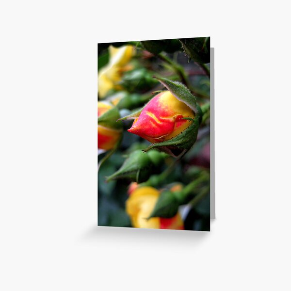 blooming opportunity Greeting Card