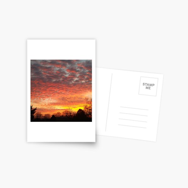 Sunrise Magnific 1 Postcard