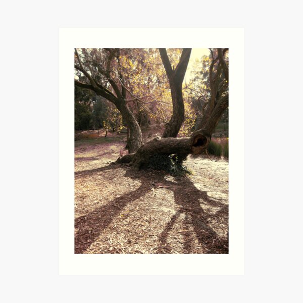 branching out for opportunity Art Print