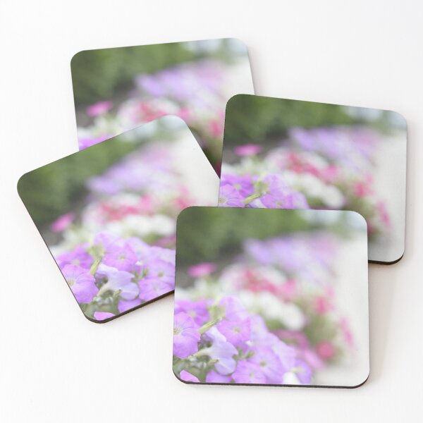 Item preview, A path of Colourful petunias, photographed designed and sold by JessicaKeegan.