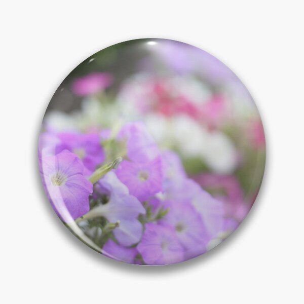 Item preview, A path of Colourful petunias, photographed designed and sold by JessicaKeegan.