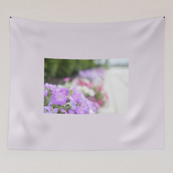 Item preview, A path of Colourful petunias, photographed designed and sold by JessicaKeegan.