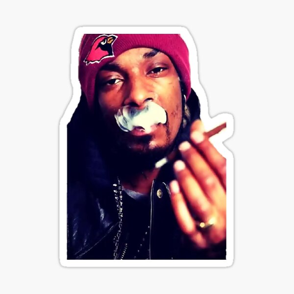 SNOOP DOG DARK SUNGLASSES  Sticker for Sale by Dabney74