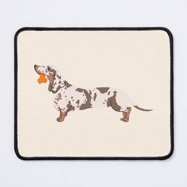 Item preview, dachshund on whith orange bone toy designed and sold by Itsdomd.