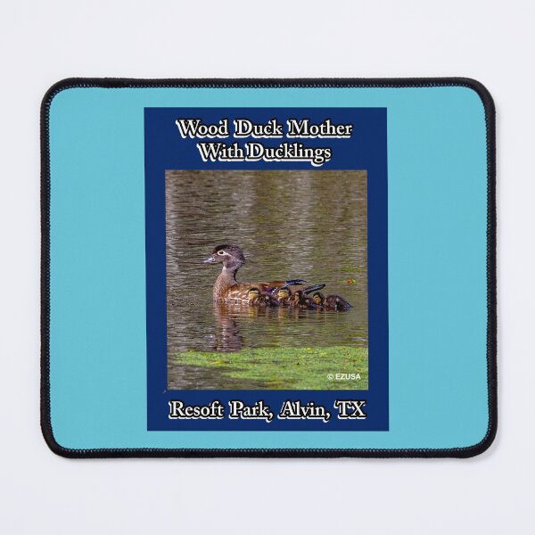 Item preview, For The Bird Lover In You: Wood Duck With Ducklings, Resoft Park, Alvin, Texas. designed and sold by MoreEZUSA-Here.