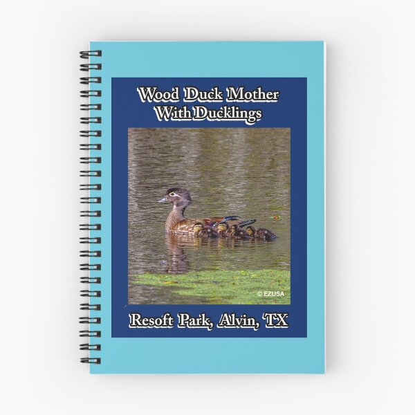Item preview, For The Bird Lover In You: Wood Duck With Ducklings, Resoft Park, Alvin, Texas. designed and sold by MoreEZUSA-Here.