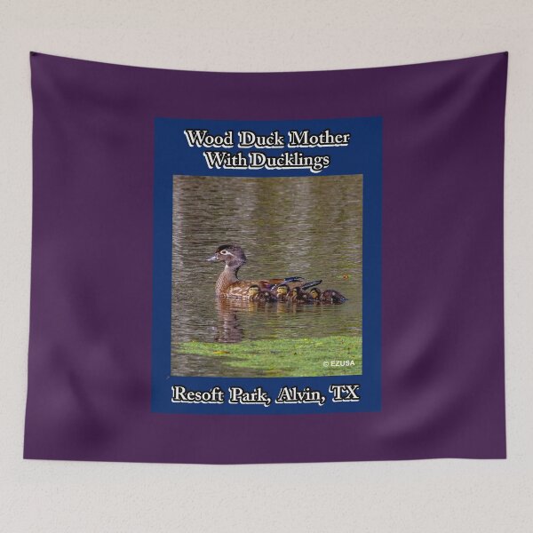 Item preview, For The Bird Lover In You: Wood Duck With Ducklings, Resoft Park, Alvin, Texas. designed and sold by MoreEZUSA-Here.