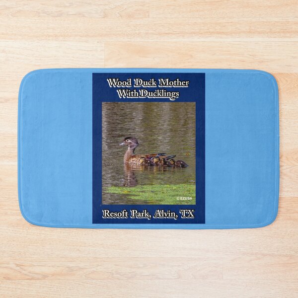Item preview, For The Bird Lover In You: Wood Duck With Ducklings, Resoft Park, Alvin, Texas. designed and sold by MoreEZUSA-Here.