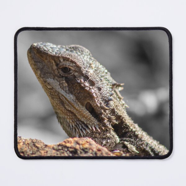 Item preview, Central Bearded Dragon designed and sold by mpatersonphotos.