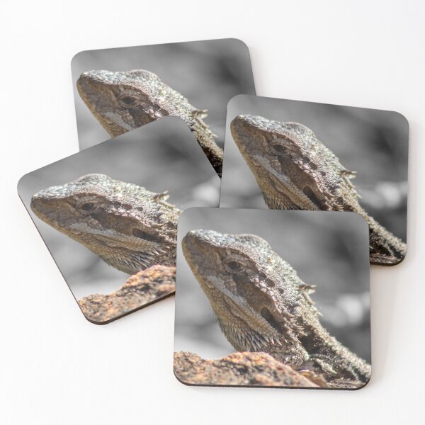 Item preview, Central Bearded Dragon designed and sold by mpatersonphotos.