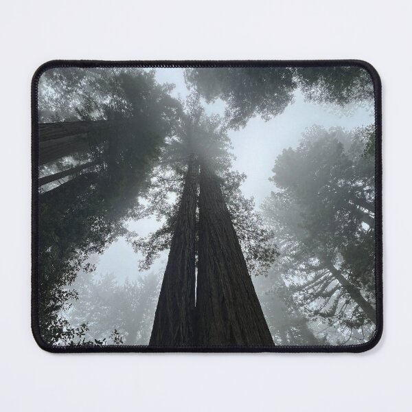 Item preview, Redwoods of Lady Bird designed and sold by drotondo13.